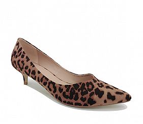 8558T06 Leopard